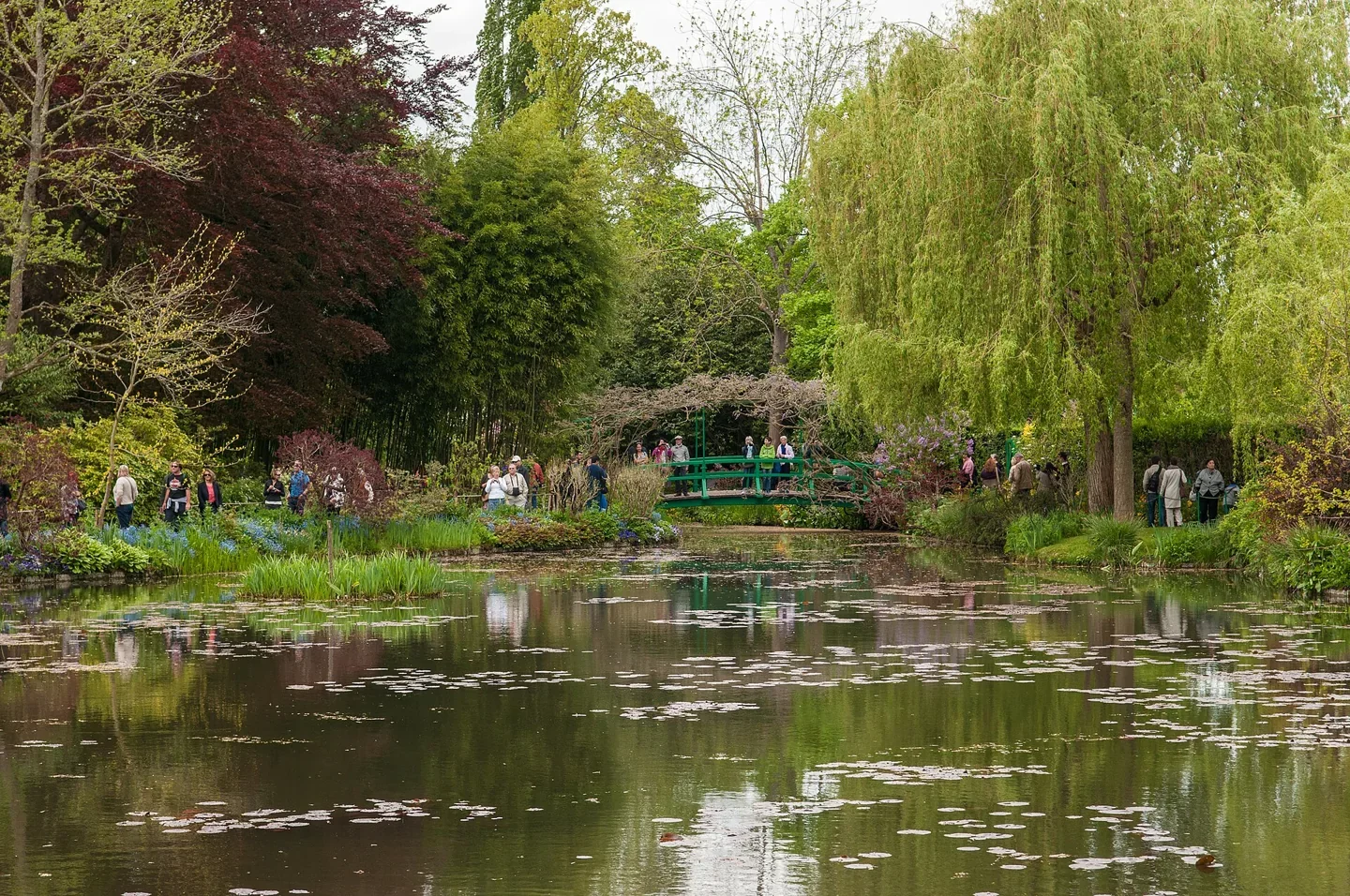 Plan d’eau et végétation dans les jardins de Claude Monet à Giverny